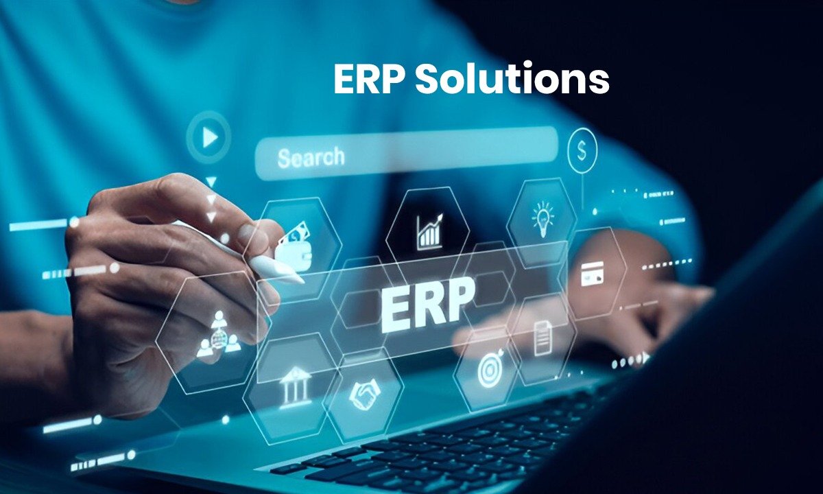 erp solution service